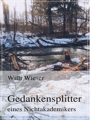 cover image of Gedankensplitter eines Nichtakademikers